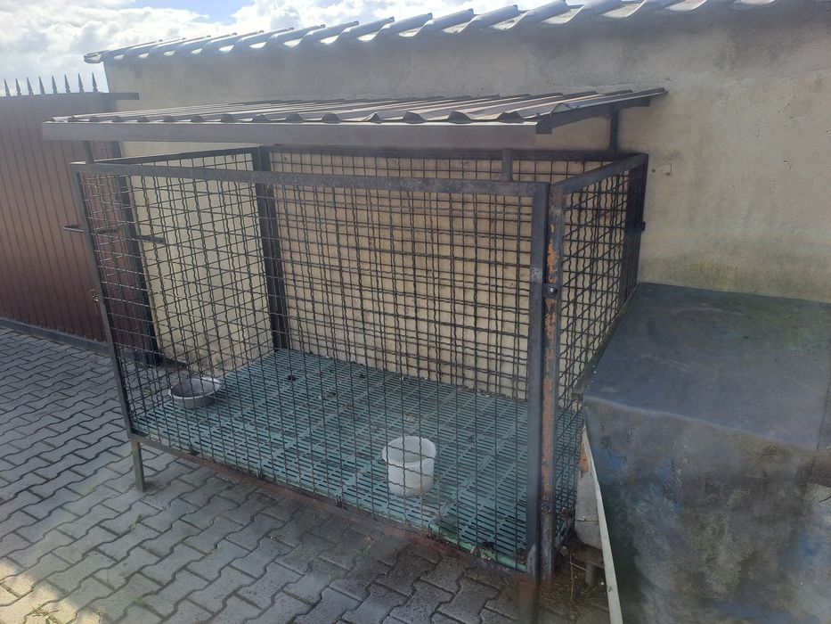 Kojec klatka dla psa