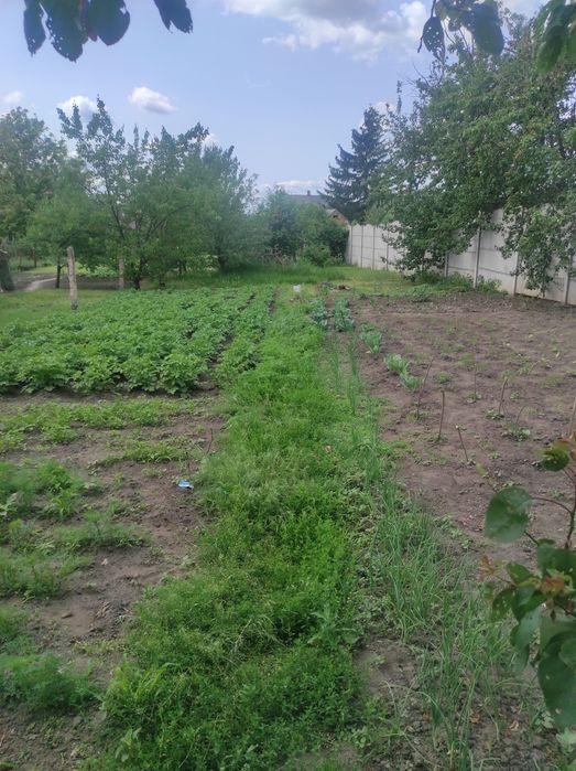 Продається будинок в м Мерефа.