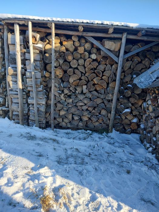 Drewno opałowe pieńki rąbane