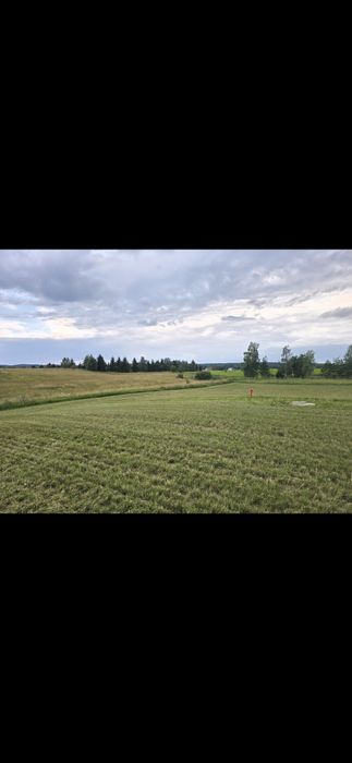 Działka Mazury 8,09  ara z warunkami zabudowy !