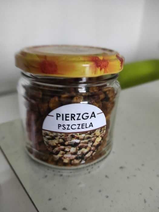 Pierzga pszczela