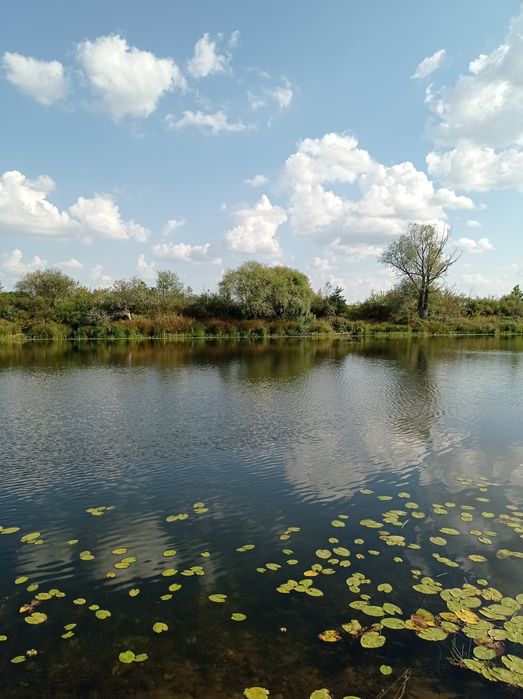 Садиба біля річки Десна. Село Лебедівка.