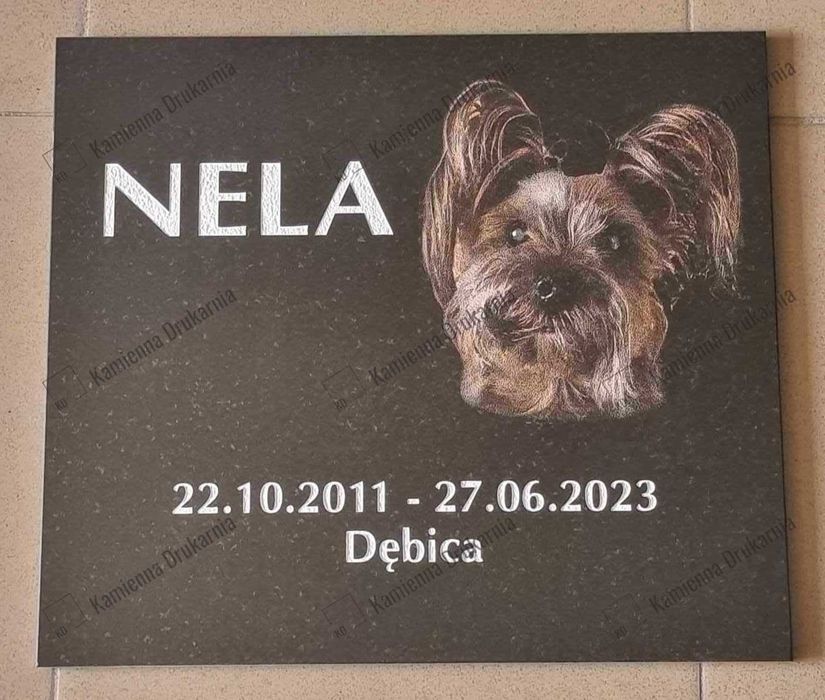 Tablica granitowa dla pupila 30,5 x 35 ze zdjęciem BEZ POLERU BOKÓW