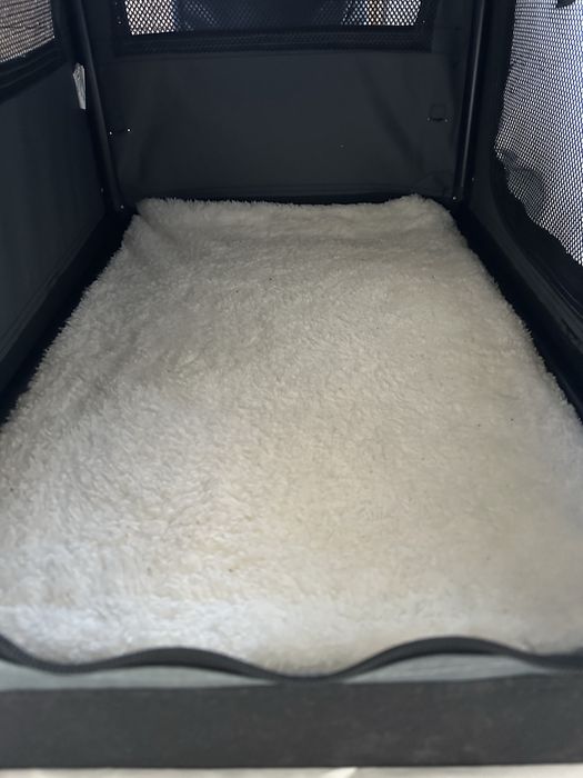 Transportadora cães