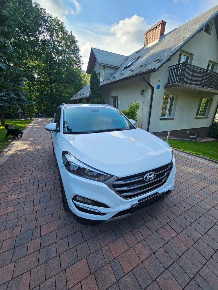 Hyundai Tucson blue 1.6 GDi 2WD Intro Ed