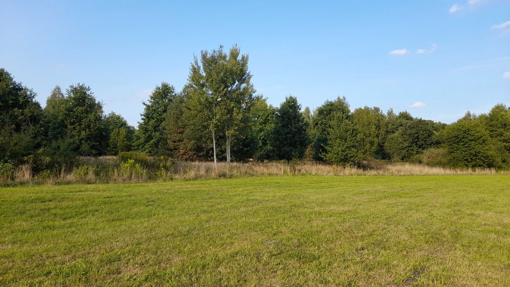 2448m2 cała BUDOWLANA, piękna okolica, LASY, 48km od Warszawy