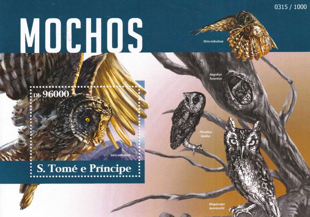 WŚTiK 2015 cena 5,90 zł kat.6€ - sowy