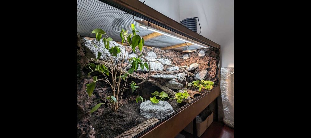 Terrarium para uma cobra