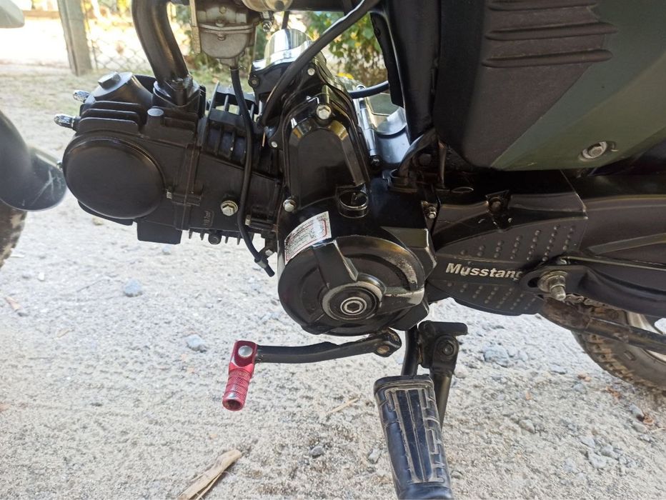 Mustang dingo 125