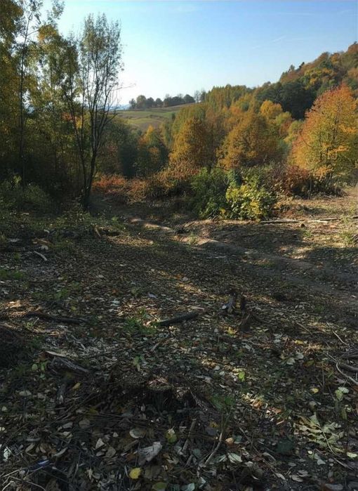 Działka z widokiem 1,24 ha | Mąchocice Kapitulne - Widok 4