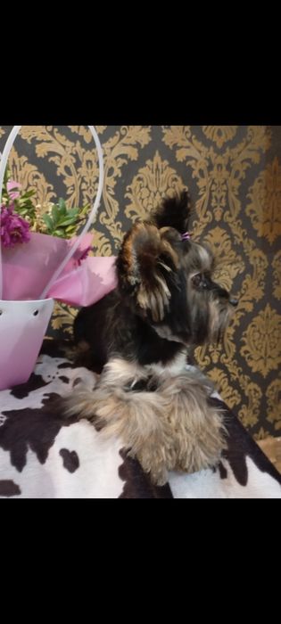 Супер малыш красавчик