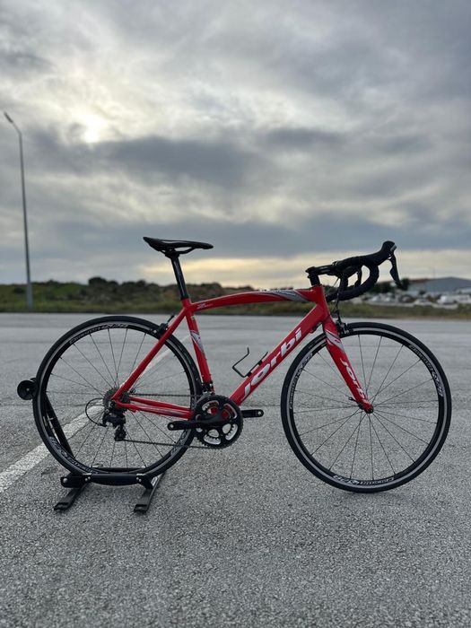 Jorbi Champion estrada