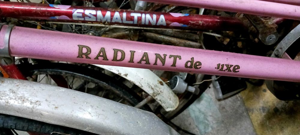 Bicicleta pasteleira