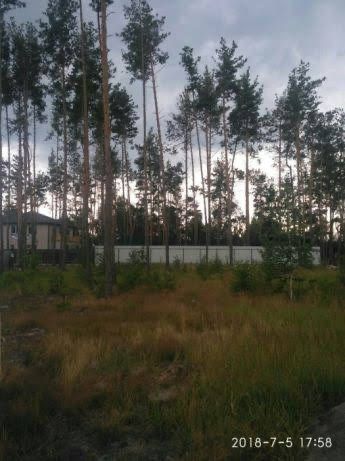 1 Земельна ділянка з ЛІСОМ в с. Мархалевка під  житлову забудову.