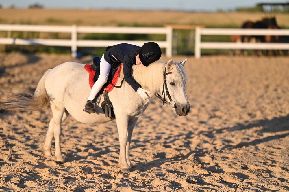 Kucyk dla poczatkującego