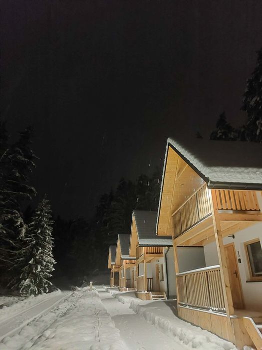 Domki w Bieszczadach - Ferie zimowe