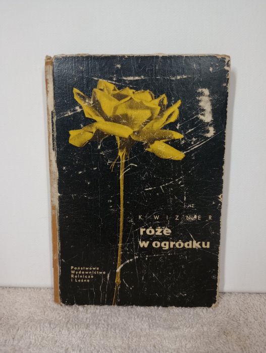 Róże w ogródku. Karol Wizner