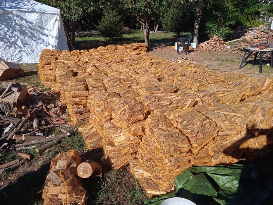 Drewno kominkowe brzoza sezonowana opal