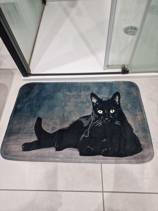 Mata miękki chodnik z czarnym kotem