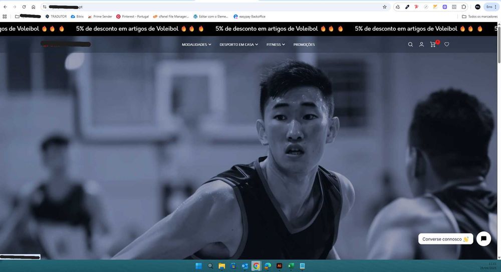 Serviços de Web Desingner