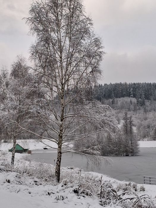 Apartamenty  wolny termin