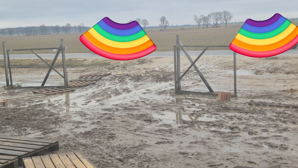 Płot leśny z bramą