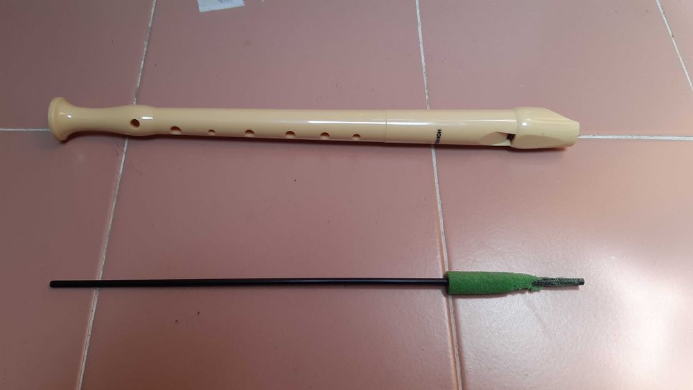 Flauta de bisel com capa