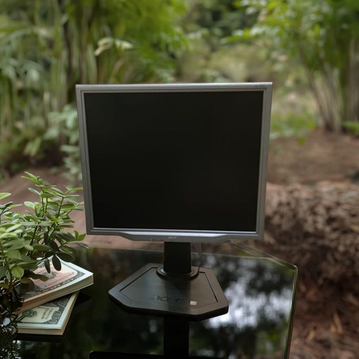 Монітор Acer AL1923 (LCD, 19")