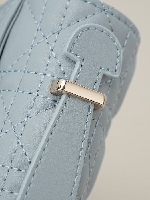DIR Жіночий клатч Louis Vuitton