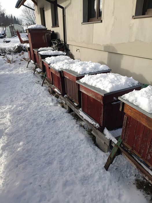 Ostatnie 3 sztuk. Sprzedam ule wielkopolskie drewmiane