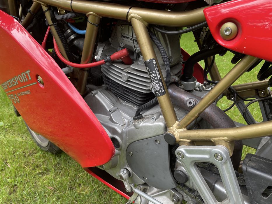 Ducati 750 ss papuga