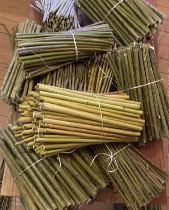 Енергетична верба живці лоза для живопдоту ива