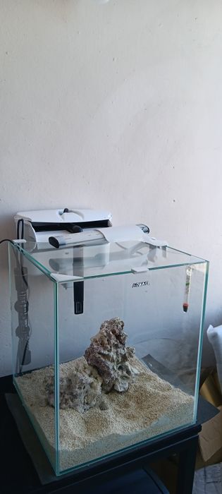 Aquario nano reef aquael 49litros Último preço