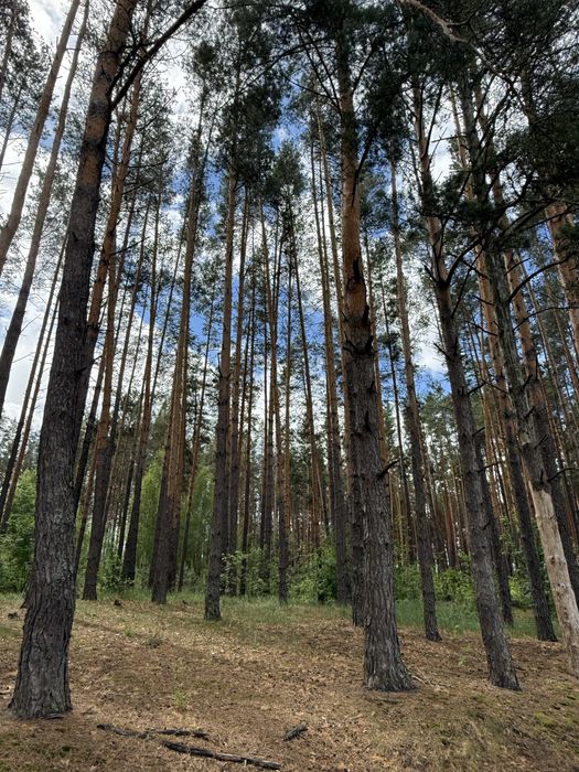 Дача з назовим опалення, ліс, озеро