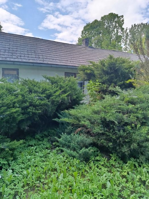 Domek letniskowy na wsi – okolice Kielc/Wodzisław - View 5