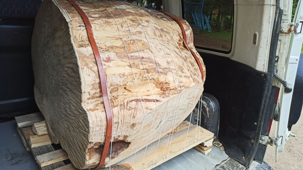 Бревно,колода,пень карпатського дерева,БУК,ДУБ,ЯСЕН,діаметр від 30до90