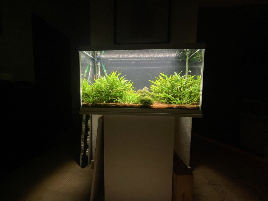 Aquario Aquael com movel 112L