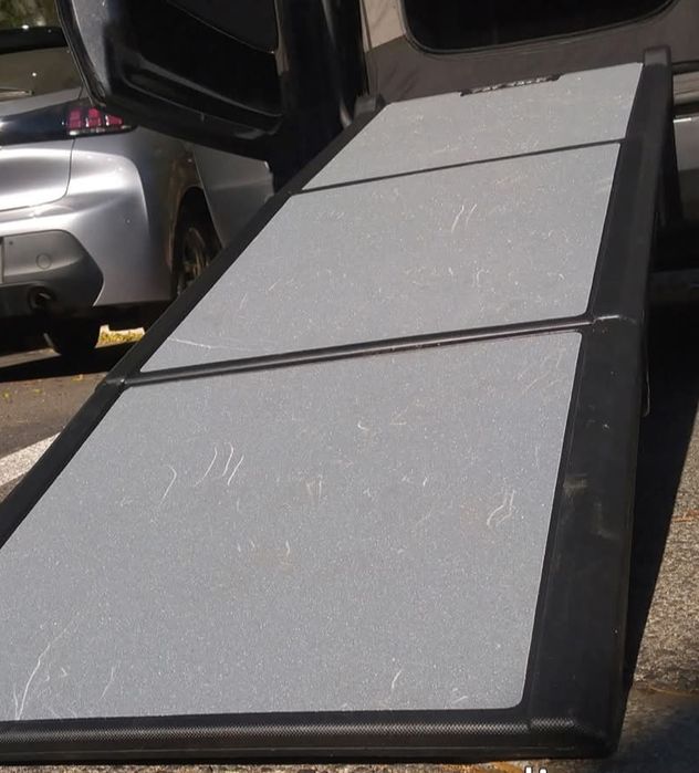 Rampa para cão grande PetGear