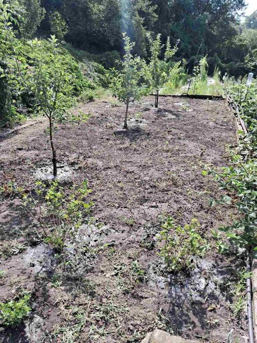 Без комиссии! Продам дачу! Р-н Подпорожнянки! Ближние дачи!