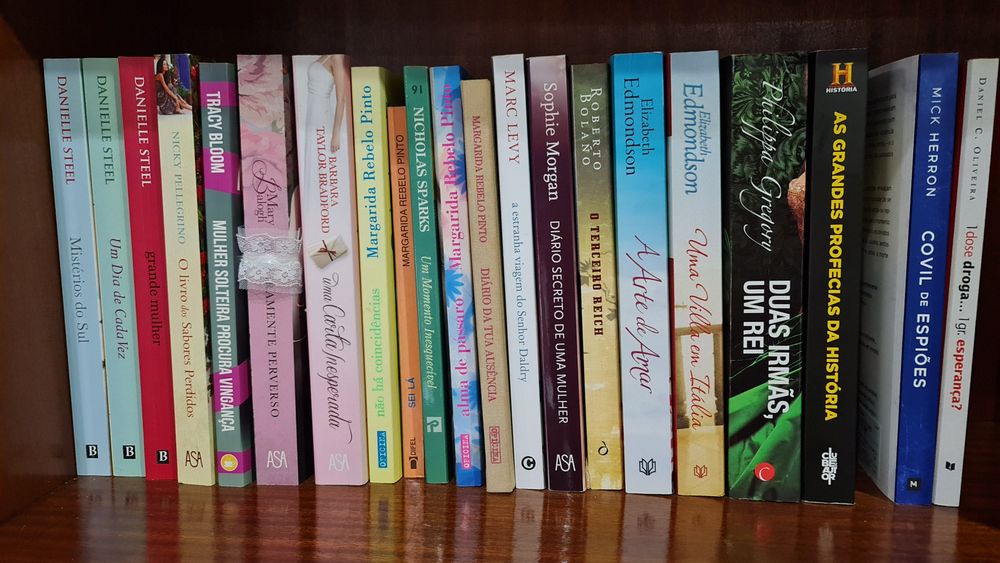 Livros diversos como novos