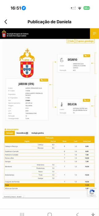 Poldra com um ano “Viana”
