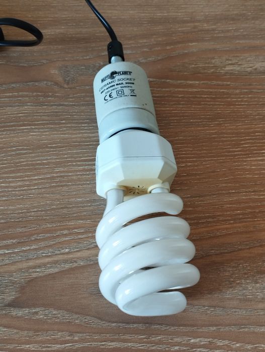 Lâmpada UVB 6.0 Reptiland (Suporte Cerâmico incluído)