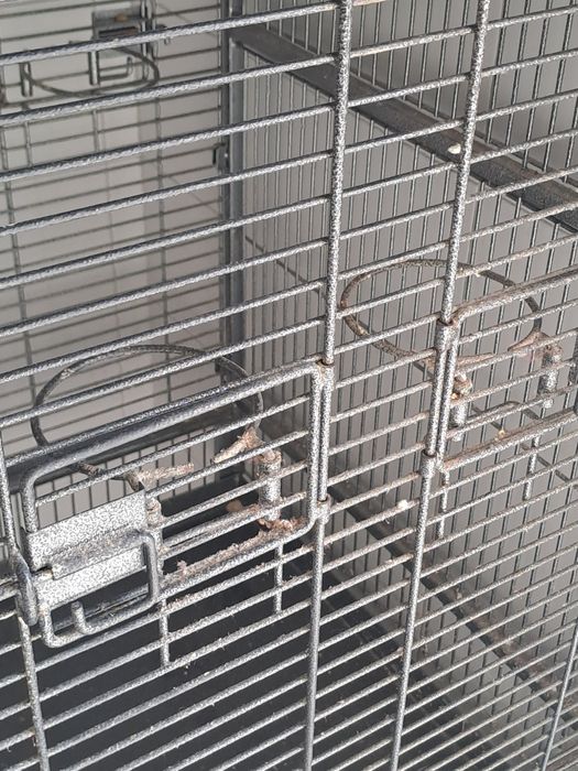 Gaiola Gaiola Gaiola