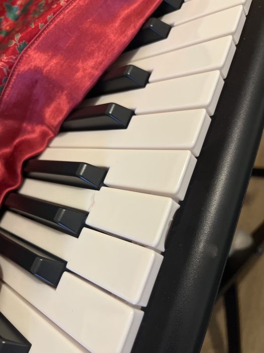 Teclado - Yamaha EZ-220