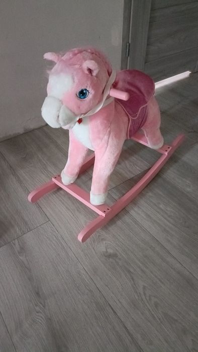 Konik na biegunach- śpiewający