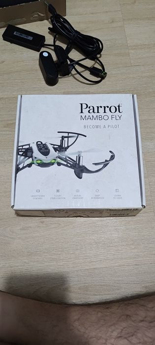 Drone Parrot Mambo467260926602127360