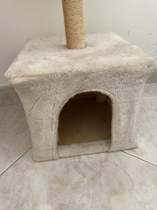 Casinha para gato animais pets