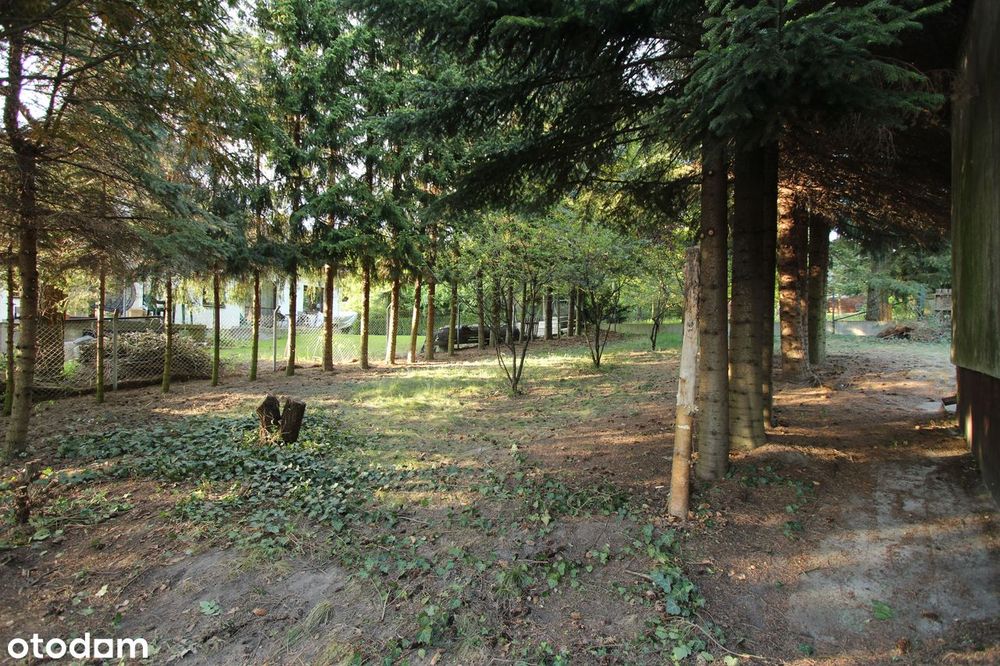 Działka 1333 m2 SUCHY LAS