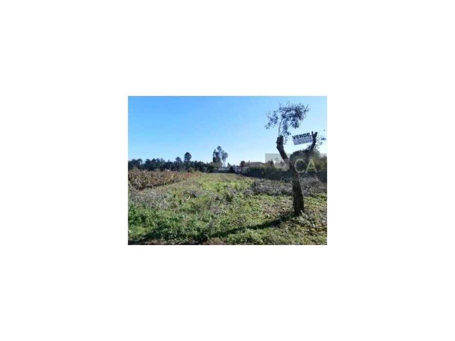 Land with construction potential