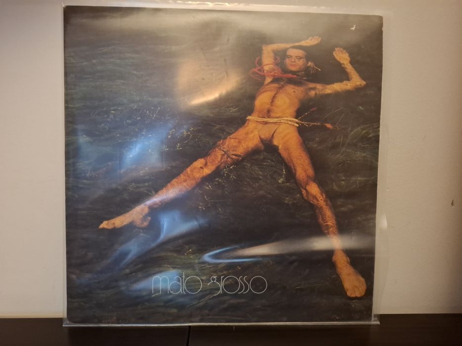 Disco vinil Nei Mato Grosso